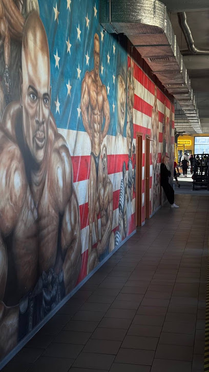 Спортивний клуб ArlexGYM