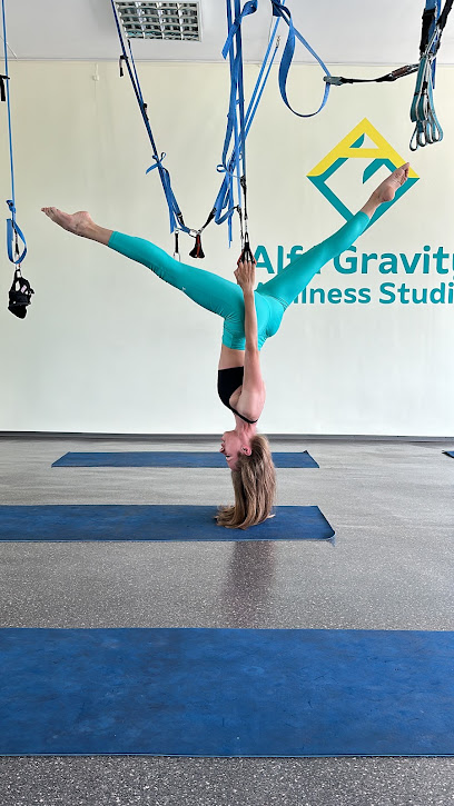 Студія Alfa Gravity Дніпро